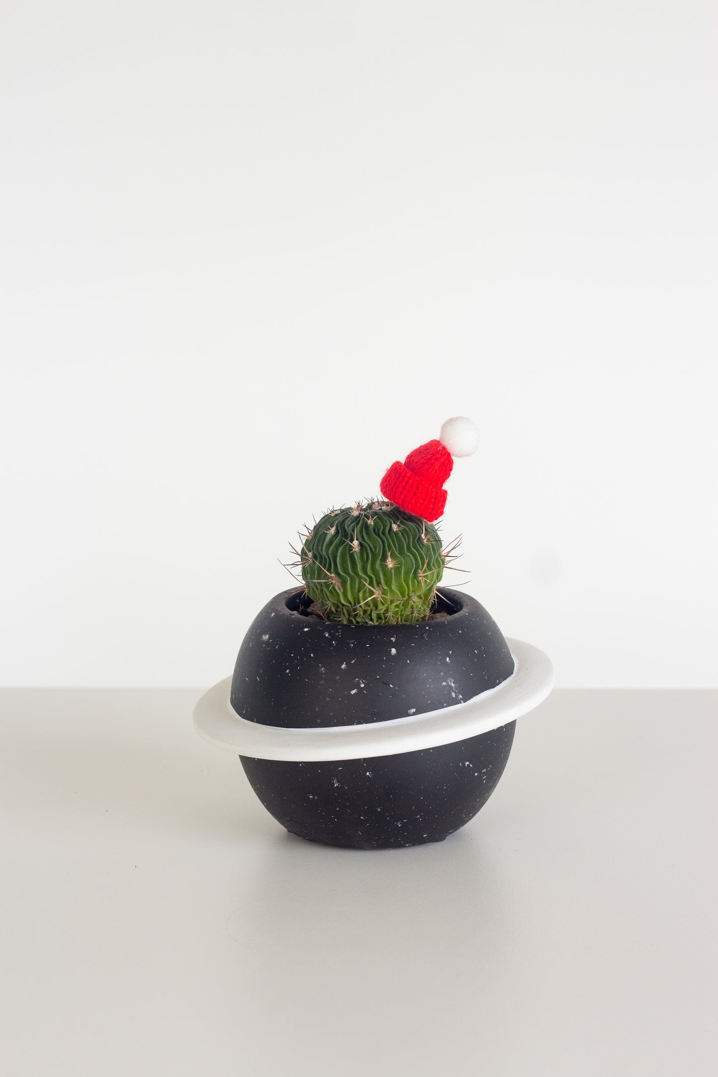 Festive Brain Cactus