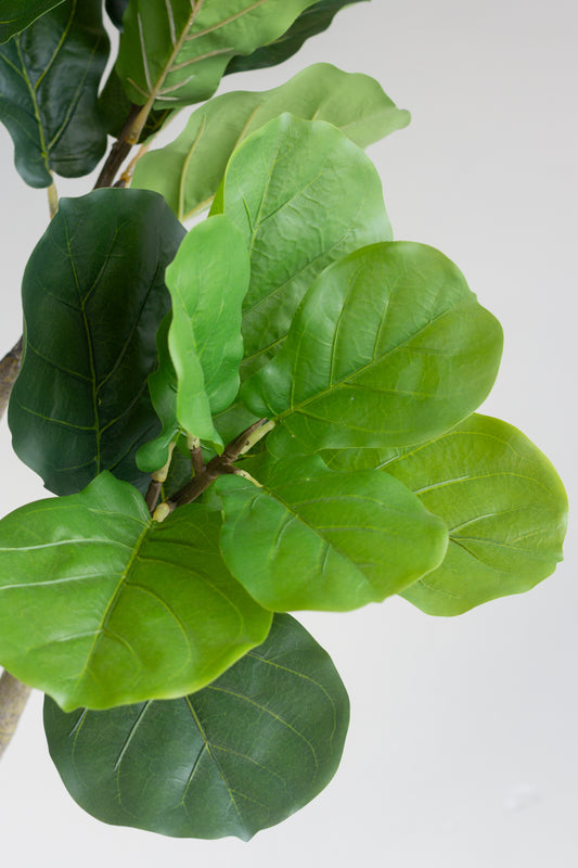 Faux Fiddle Leaf Fig