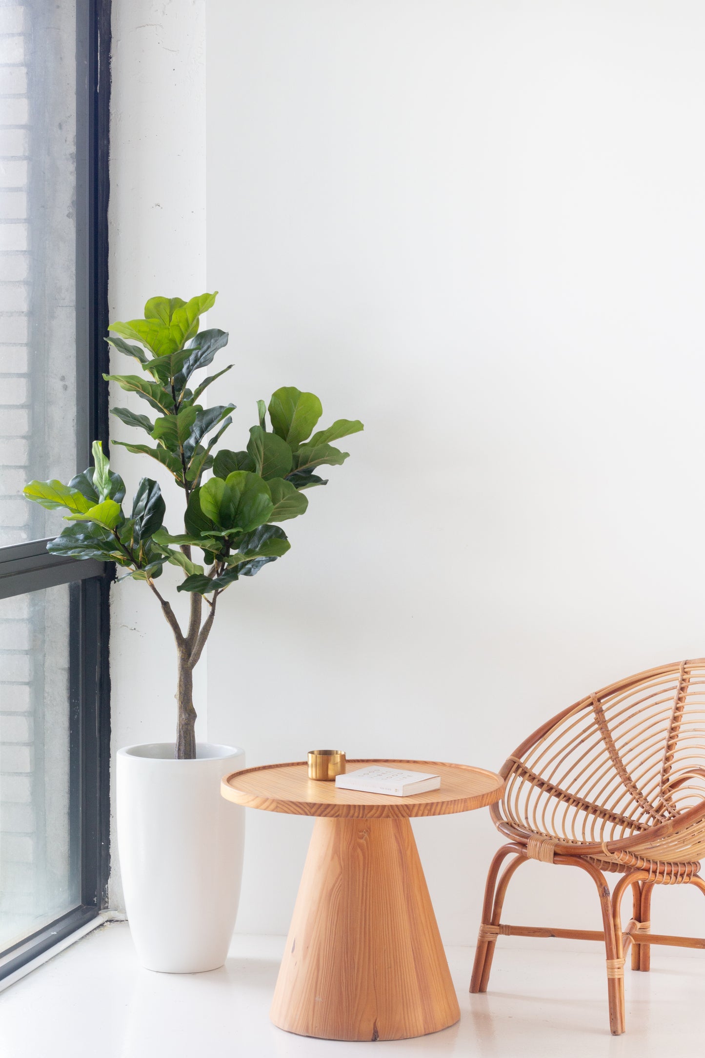 Faux Fiddle Leaf Fig