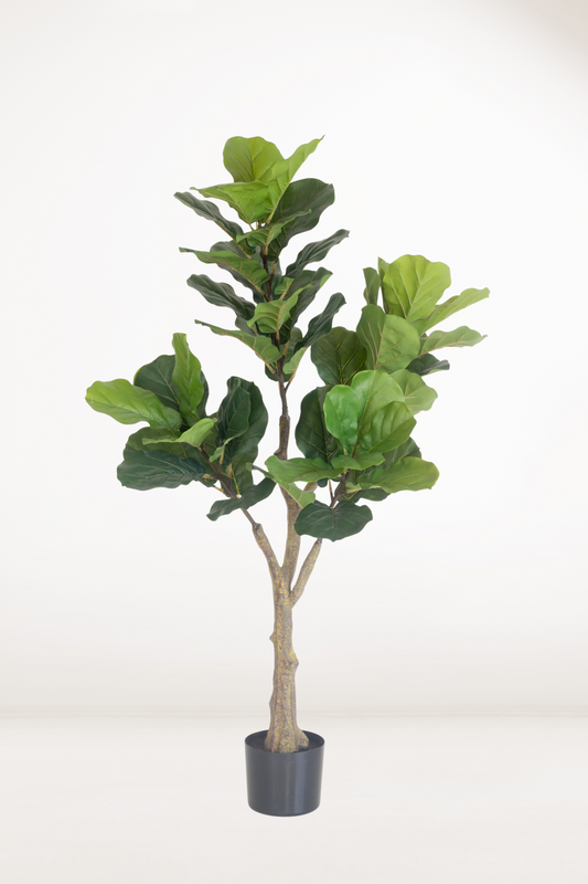 Faux Fiddle Leaf Fig