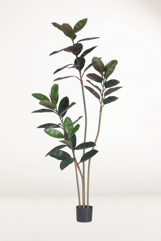 Faux Ficus Elastica