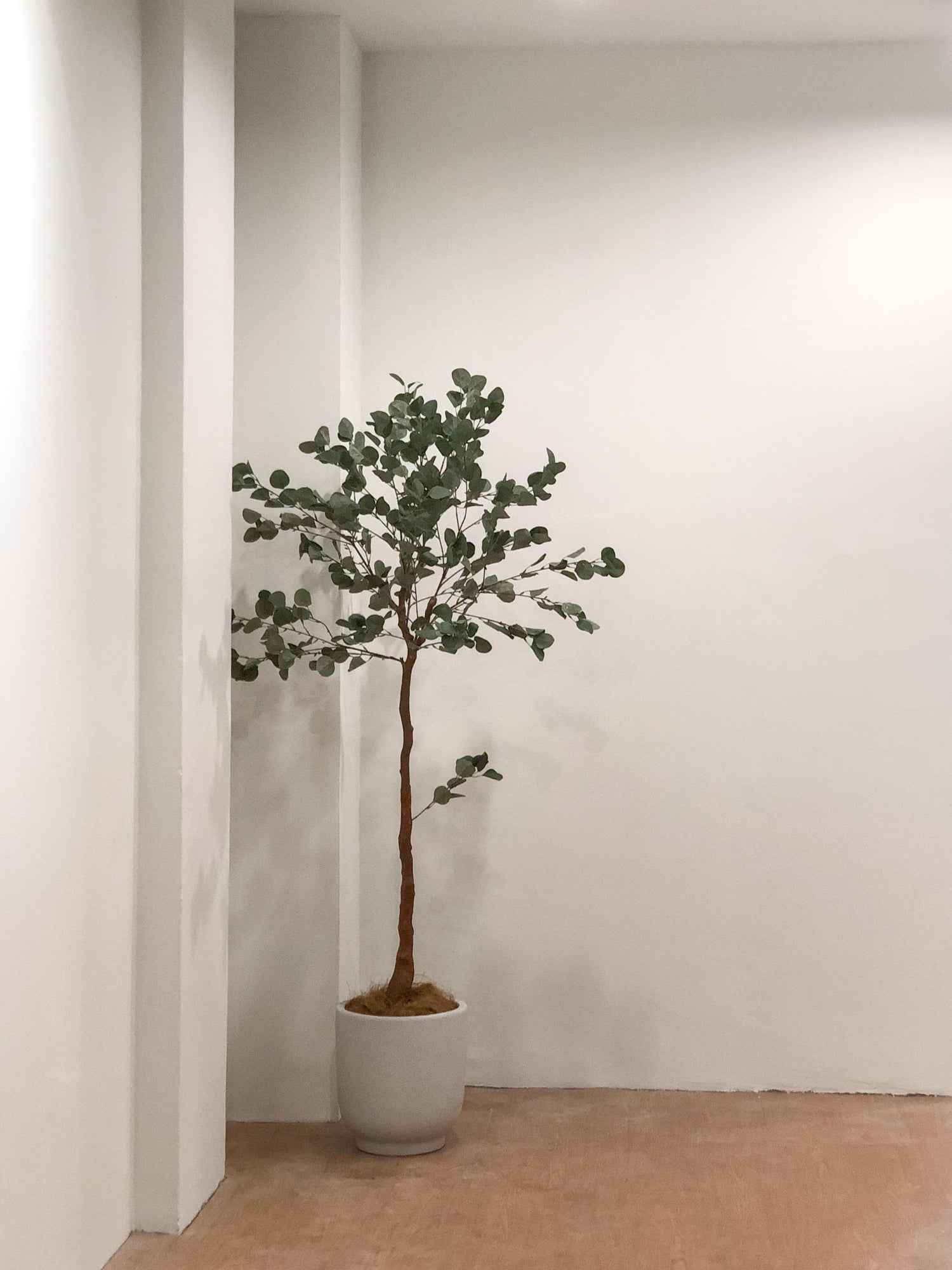 Faux Eucalyptus Tree – Bloomspace