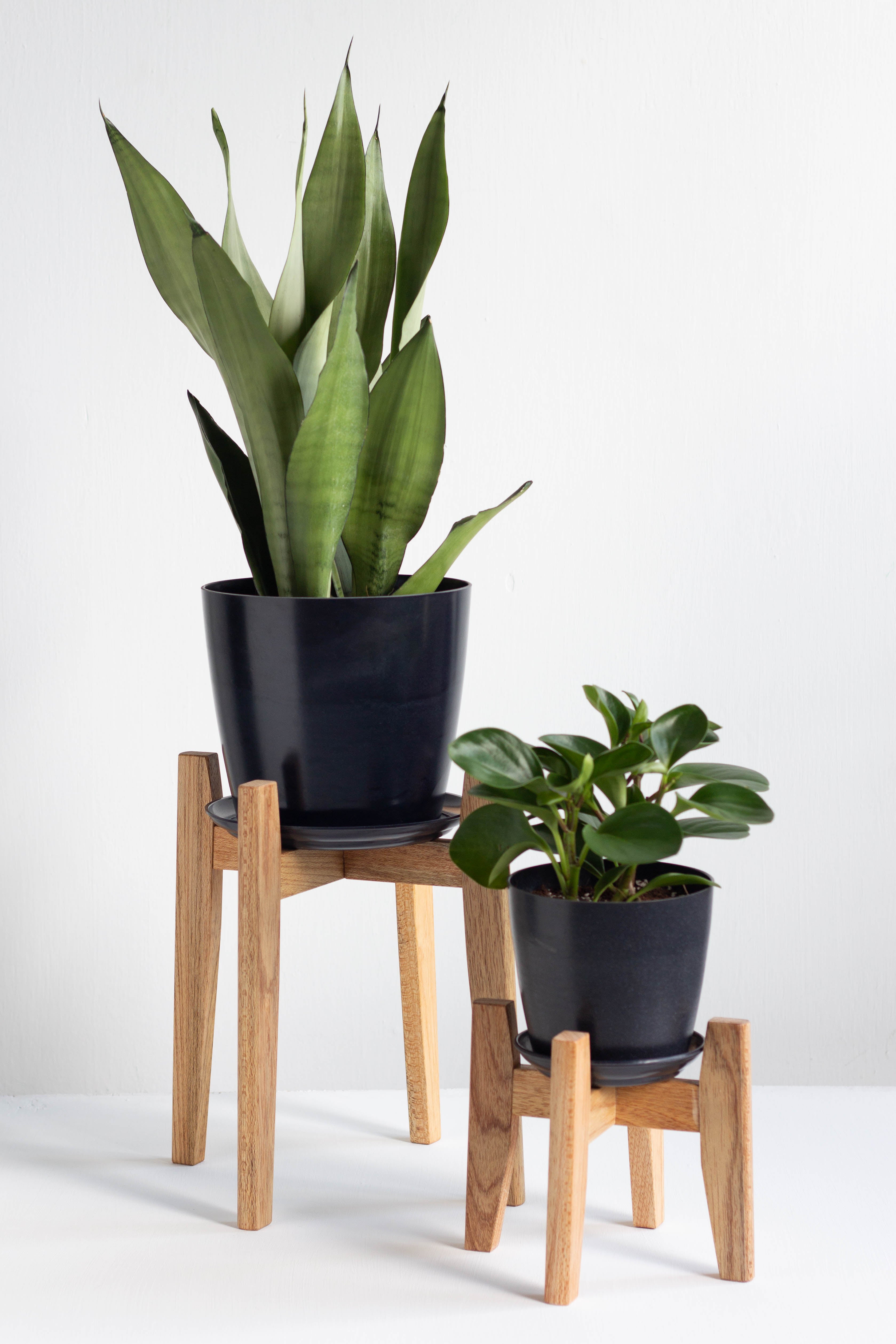 Plant Stand – Bloomspace